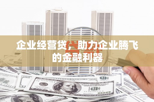 静海企业经营贷，助力企业腾飞的金融利器