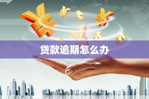 静海贷款逾期怎么办