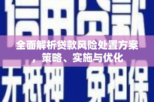 静海全面解析贷款风险处置方案，策略、实施与优化