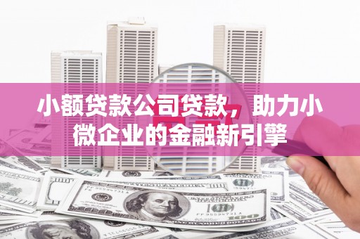 静海小额贷款公司贷款，助力小微企业的金融新引擎