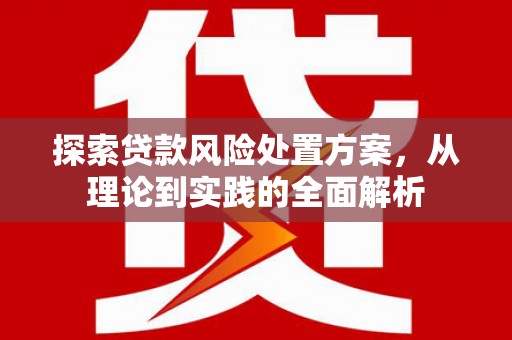 静海探索贷款风险处置方案，从理论到实践的全面解析