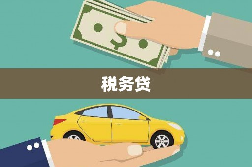 静海税务贷