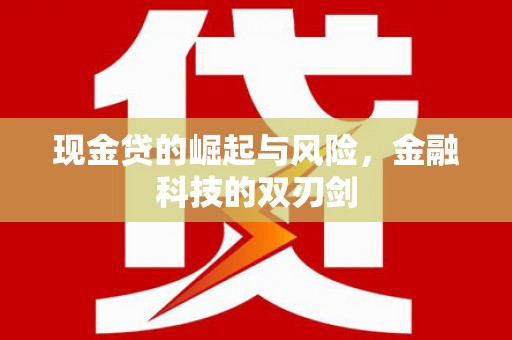 静海现金贷的崛起与风险，金融科技的双刃剑