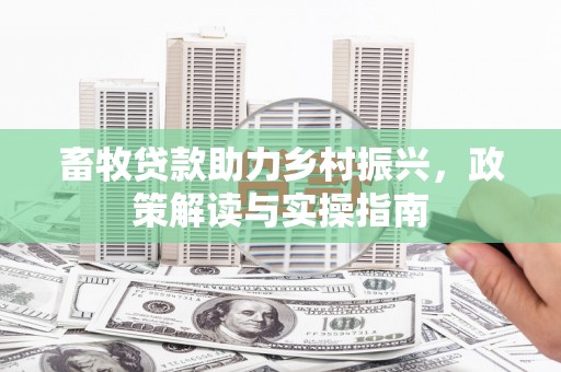 静海畜牧贷款助力乡村振兴，政策解读与实操指南