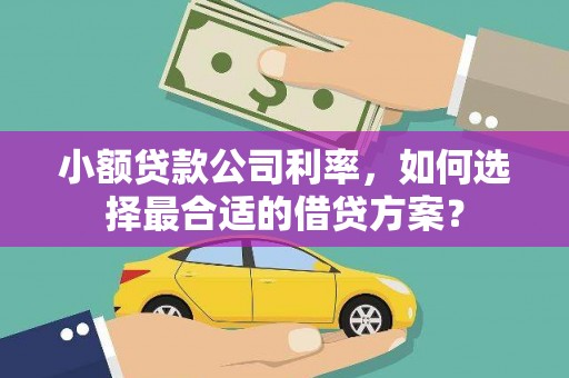静海小额贷款公司利率，如何选择最合适的借贷方案？