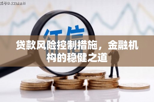 静海贷款风险控制措施，金融机构的稳健之道