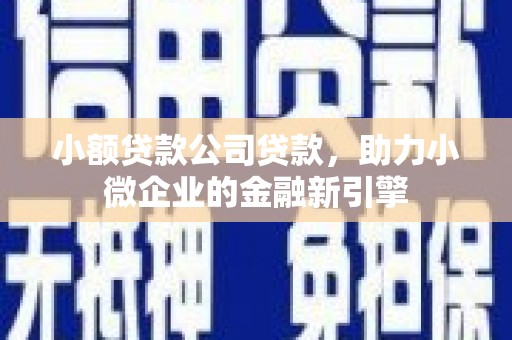 静海小额贷款公司贷款，助力小微企业的金融新引擎