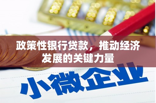 静海政策性银行贷款，推动经济发展的关键力量