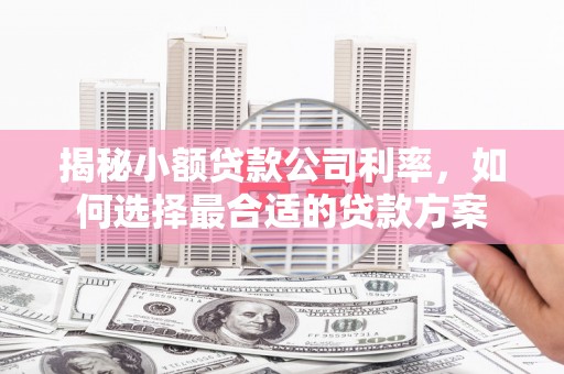 静海揭秘小额贷款公司利率，如何选择最合适的贷款方案