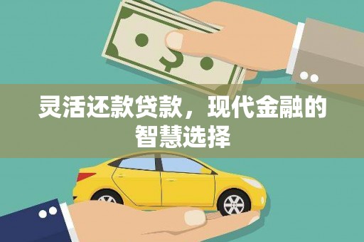 静海灵活还款贷款，现代金融的智慧选择