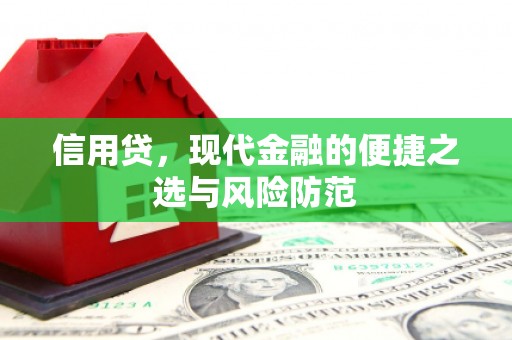 静海信用贷，现代金融的便捷之选与风险防范