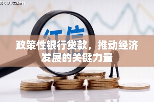 静海政策性银行贷款，推动经济发展的关键力量