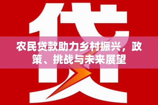 静海农民贷款助力乡村振兴，政策、挑战与未来展望