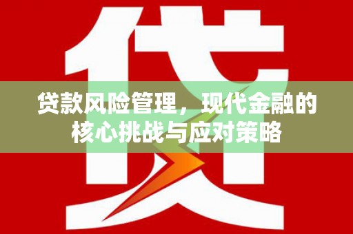 静海贷款风险管理，现代金融的核心挑战与应对策略