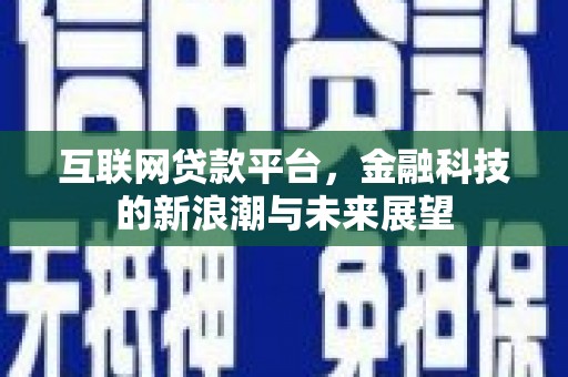 静海互联网贷款平台，金融科技的新浪潮与未来展望