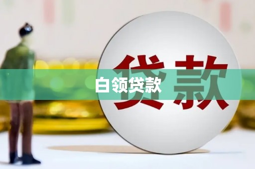 静海白领贷款