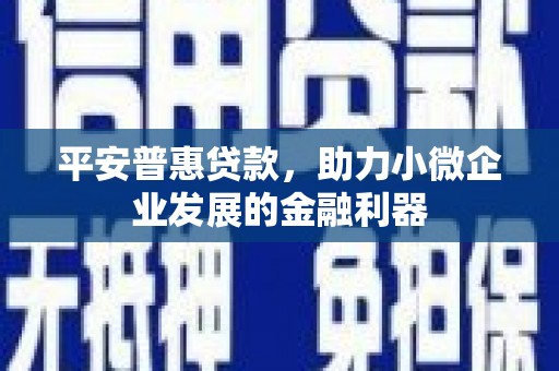 静海平安普惠贷款，助力小微企业发展的金融利器