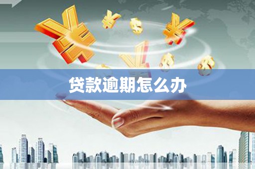 静海贷款逾期怎么办
