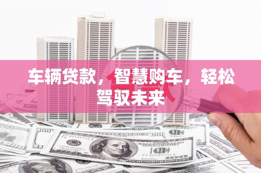 静海车辆贷款，智慧购车，轻松驾驭未来