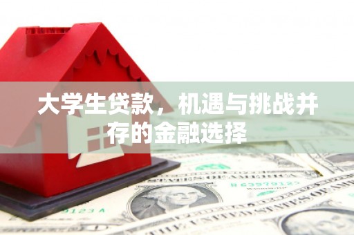 静海大学生贷款，机遇与挑战并存的金融选择