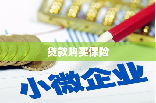 静海贷款购买保险