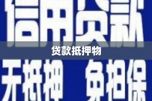 静海贷款抵押物