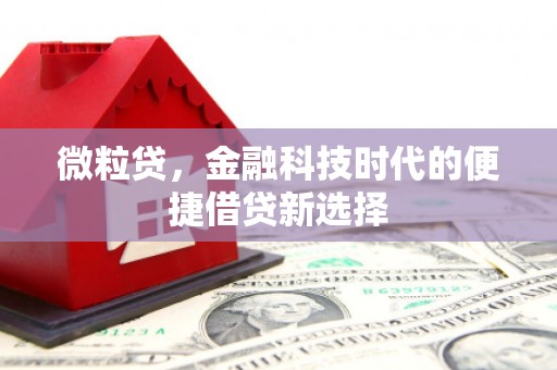 静海微粒贷，金融科技时代的便捷借贷新选择