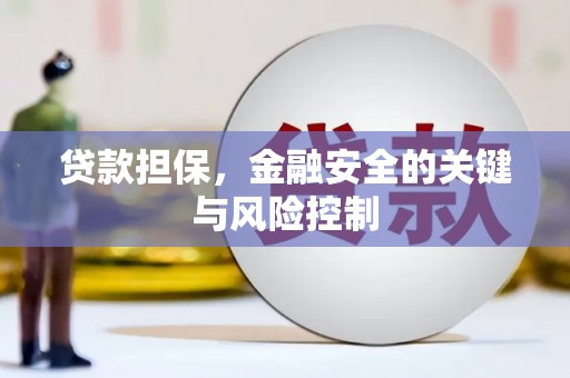 静海贷款担保，金融安全的关键与风险控制