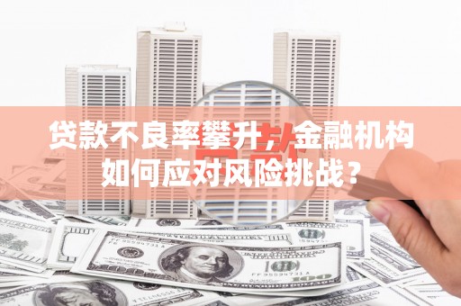 静海贷款不良率攀升，金融机构如何应对风险挑战？
