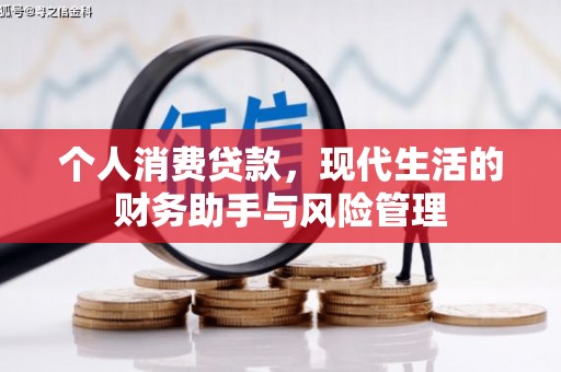 静海个人消费贷款，现代生活的财务助手与风险管理