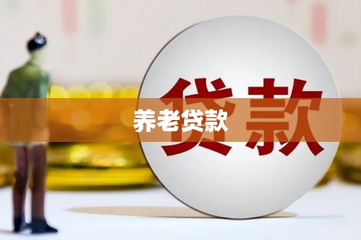 静海养老贷款