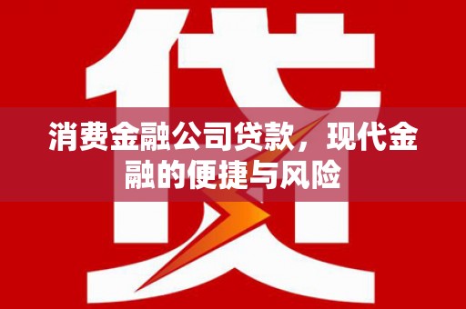 静海消费金融公司贷款，现代金融的便捷与风险