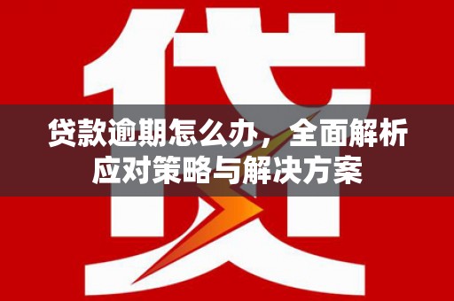 静海贷款逾期怎么办，全面解析应对策略与解决方案