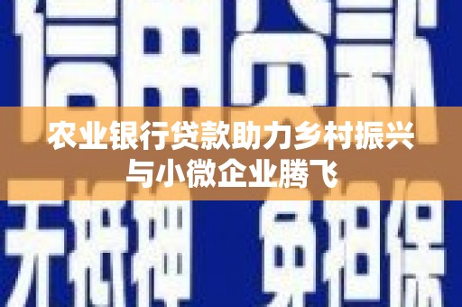 静海农业银行贷款助力乡村振兴与小微企业腾飞