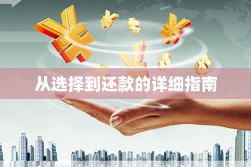 静海从选择到还款的详细指南