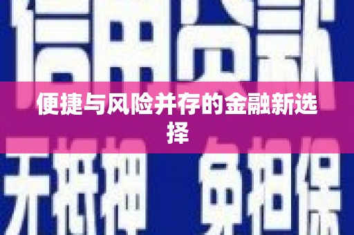 静海便捷与风险并存的金融新选择