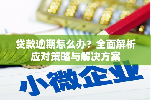 静海贷款逾期怎么办？全面解析应对策略与解决方案
