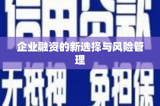 静海企业融资的新选择与风险管理