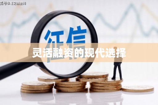 静海灵活融资的现代选择
