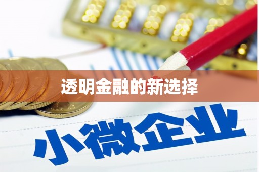 静海透明金融的新选择