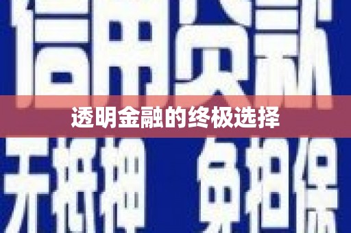 静海透明金融的终极选择