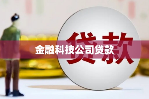 静海金融科技公司贷款