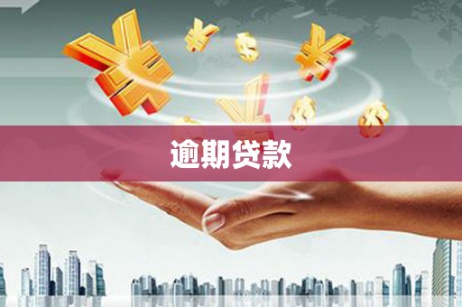 静海逾期贷款