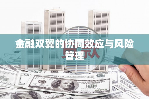 静海金融双翼的协同效应与风险管理