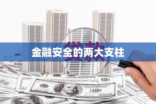静海金融安全的两大支柱