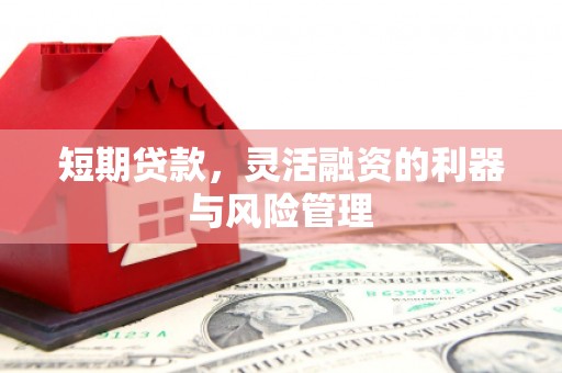 静海短期贷款，灵活融资的利器与风险管理