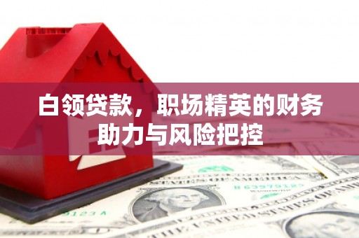 静海白领贷款,职场精英的财务助力与风险把控 静海白领贷款,职场精英的财务助力与风险把控
