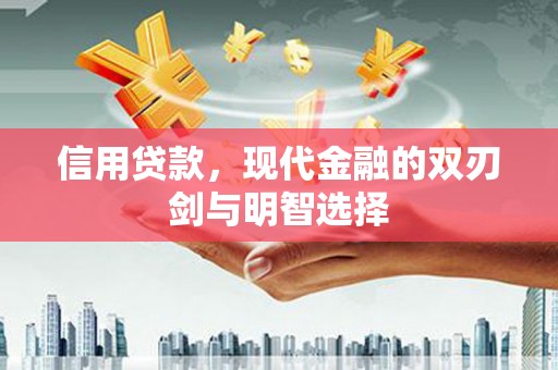 静海信用贷款，现代金融的双刃剑与明智选择