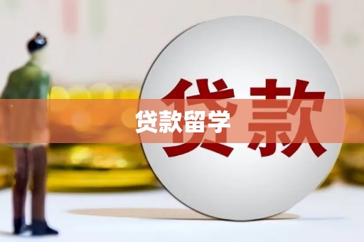 静海贷款留学