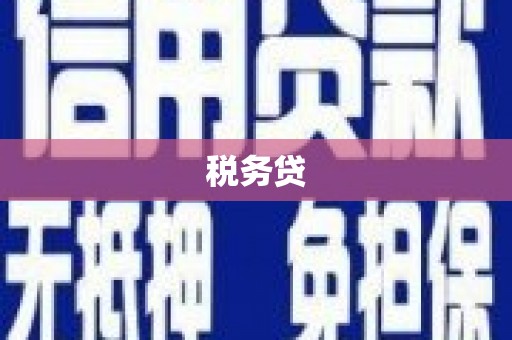 静海税务贷